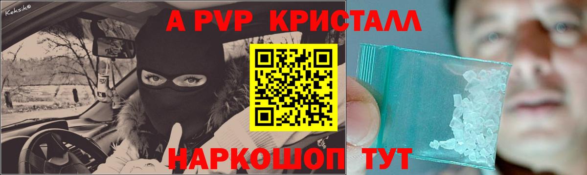 A-PVP СК КРИС Краснознаменск